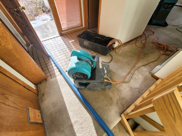 Water damage restoration experts in KS
