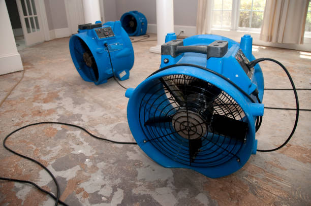Best Flooded house restoration  in St George, KS
