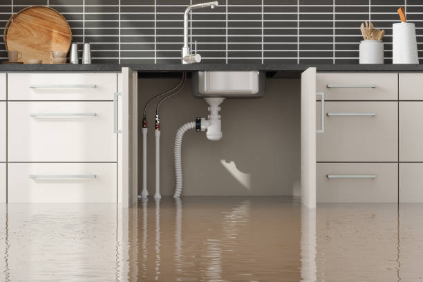 Best Water damage repair service  in St George, KS