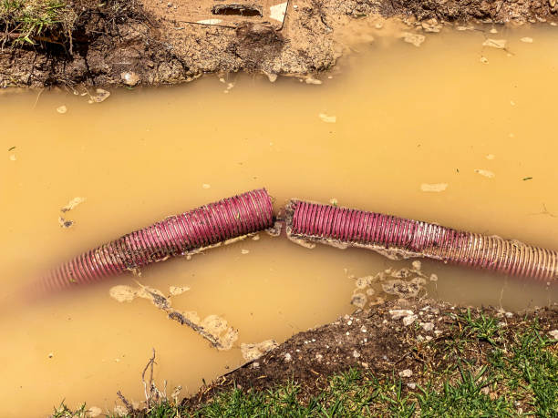 Best Fire Damage Restoration  in St George, KS