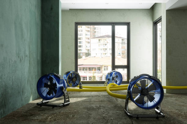 Best Carpet water damage restoration  in St George, KS
