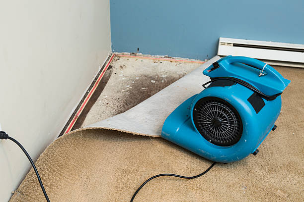 Best Commercial water damage restoration  in St George, KS